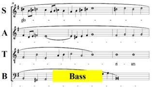 Vivaldi - Gloria - RV589 - 5 Propter Magnam Gloria - Bass