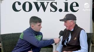 Talking cow and heifer trade #Ploughing2024