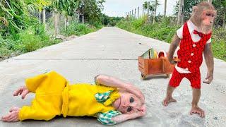Baby monkey pain collapse as CUTIS disappear in silence