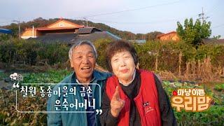 마냥 이쁜 우리맘 27회 풀영상 [철원 동송마을의 금손 은숙어머니]