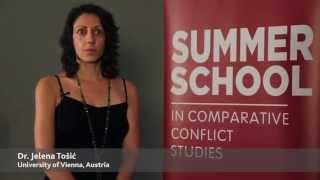 2014 Summer School Professors Experiences: Dr. Jelena Tosic