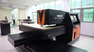 TSD 400Watt Die Board Laser Cutting Machine for 18MM Plywood Cutting TSD-LC400-1218
