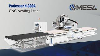 Professor N-300A CNC nesting line