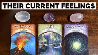 What Are Their Current Feelings About You & The Connection?️Timeless Pick-A-Card Love Reading️