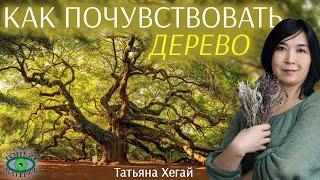  Как почувствовать дерево. Городское травничество. Татьяна Хегай