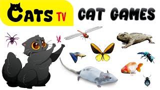 CAT TV | 2024 Ultimate CAT GAMES Compilation | Games for cats with 3D Sound & MULTI Backgrounds