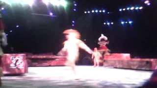 Lion king show