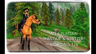 ALLA PLATSER: hästar & kistor (lördag 1/6) - CAMP WESTERN // Star stable