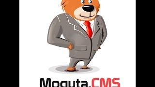 Как работать с плагинами Moguta.CMS