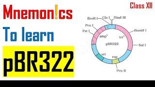 pBR-322 (PLASMID) Trick/Mnemonics | Biotechnology Tricks For NEET | Mohamed Irfan | Edudextro