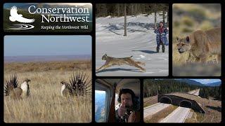 Conservation Northwest Sizzle Reel