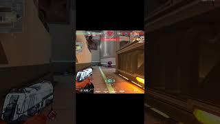 Sova pistol ace on icebox