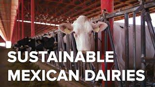 Generations of Sustainability on Mexican Dairies