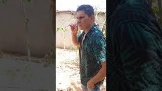 Um churrasco  #humor #comedia #kkkk #comedy #shortvideos