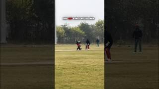 Share with your cricket friends #shorts #cricket #cricketlover #cricketshorts