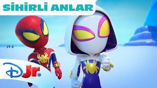 ️ Antarktika kaşifleri | Marvel Spidey ve İnanılmaz Arkadaşları | Disney Kids Türkiye