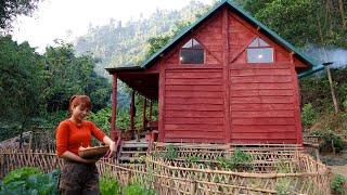 Harvesting Beans and Tapioca - Firewood, Making Cakes, Growing Taro and Ginger | Ana Bushcraft Ep.65