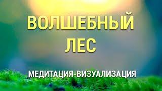 Медитация для Сна  Визуализация Волшебный Лес  Осознанный Сон  Медитация с Музыкой