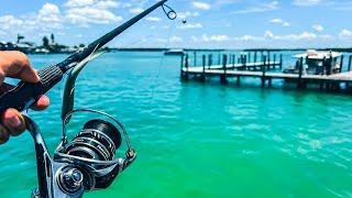 Two Days Dock Fishing in Florida With Live Bait - Bite Was Hot