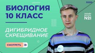 Урок 25. Дигибридное скрещивание. Биология 10 класс