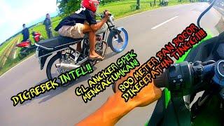 GL ANGKER  NINJA PEMBURU HEREX