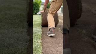 Leveling out my front lawn #lawncare