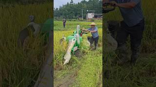 china mini harvester  #shorts #miniharvester #agriculture