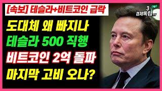 [속보] 테슬라+비트코인 급락! 도대체 왜 빠지나? 테슬라 500 직행, 비트코인 2억 돌파 전 마지막 고비 오나?]#3.1경제독립tv