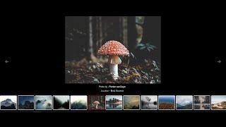 Lightbox Gallery: How To Create A Modal Image Gallery (Lightbox) With HTML, CSS And JavaScript 