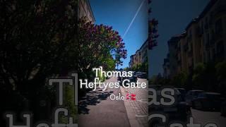 Thomas Heftyes Gate in Oslo, Norwaty,  #short #shorts #shortvideo