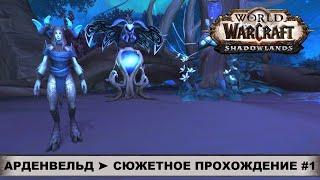 World of Warcraft: Shadowlands  Сюжетное прохождение #1  АРДЕНВЕЛЬД  Аудиенция у Королевы Зимы.