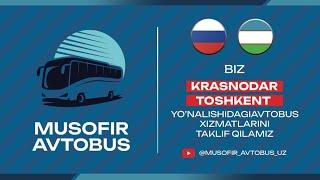 #musofir Krasnodar Tashkent Avtobus va Taxi xizmatlari #tezkor #musofirtv #musofirlar #rek #uzbek