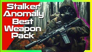 Stalker Anomaly This is The Best Weapon Mod