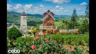 Sirao Garden-Little Amsterdam (Cebu) Plant tour!