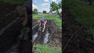 #село #деньвдеревне #селянка #жизньмамыидомохозяйки