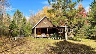 Fall Has Arrived On Our Northern Minnesota Homestead: Cutting Slab Wood, Filling Shed