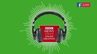 Bbc afaan oromoo Mary 27 2025 Ethiopian News today oromoo
