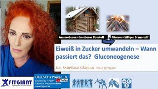 Eiweiß in Zucker umwandeln-Wann passiert das? Gluconeogenese Dr. Martina Ollesch Brain @ Fitgiant