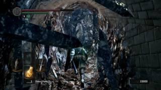 Juan Plays: Dark Souls Pt. 18 Dukes Library to Crystal Cave.