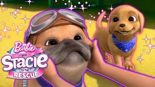 De nouveaux amis chiots ! Rookie rencontre Zeus ! | Barbie et Stacie : le grand sauvetage !