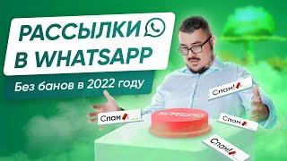 Как делать рассылки в WhatsApp? Все о способах и нюансах