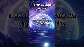 Unreal World Facts You Must See 