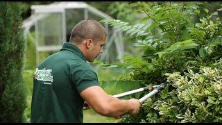 Professional Gardening Services in London | Fantastic Gardeners