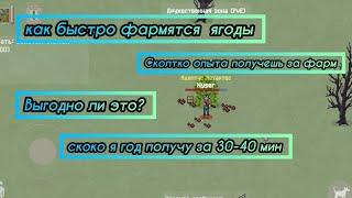 Zombix Online [] Жосткий фарм ягод за скоко я заполню сумку выжевшего ягодами?