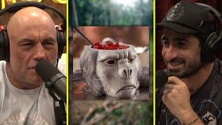 Paul Rosolie "Monkey brain soup isn't that bad" | Joe Rogan & Paul Rosolie