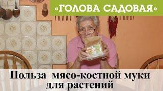 Голова садовая - Польза  мясо-костной муки для растений