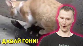 ЗАСМЕЯЛСЯ - ПОДПИСАЛСЯ!! ЛУЧШИЕ ПРИКОЛЫ 2020 ТЕСТ НА ПСИХИКУ - РЕАКЦИЯ на Союз смеха