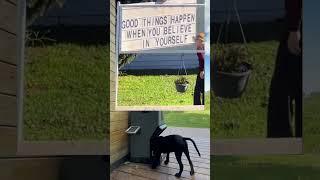 Good things happen when  #Junior-memes #funny