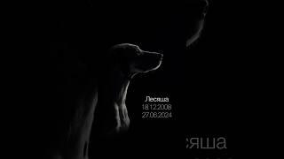 Пришла пора прощаться
