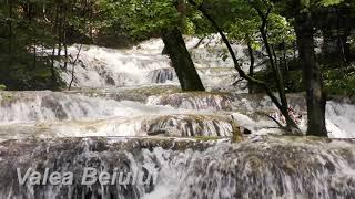 Cascade din România